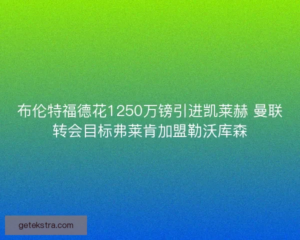 布伦特福德花1250万镑引进凯莱赫 曼联转会目标弗莱肯加盟勒沃库森 布伦特福德花1250万镑引进凯莱赫 曼联转会目标弗莱肯加盟勒沃库森